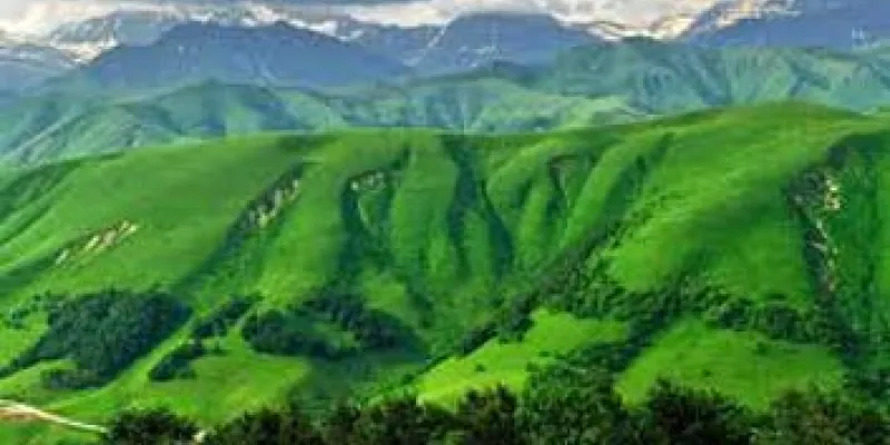 Beautiful Darjeeling Tour