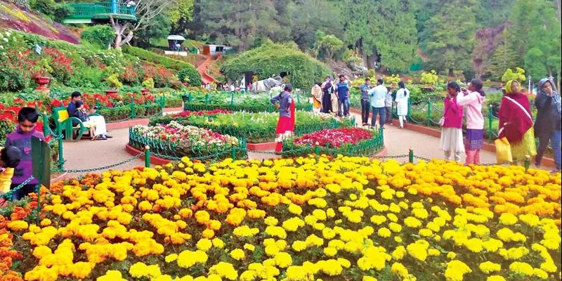 4 Nights and 5 Days  Ooty and Kodaikanal