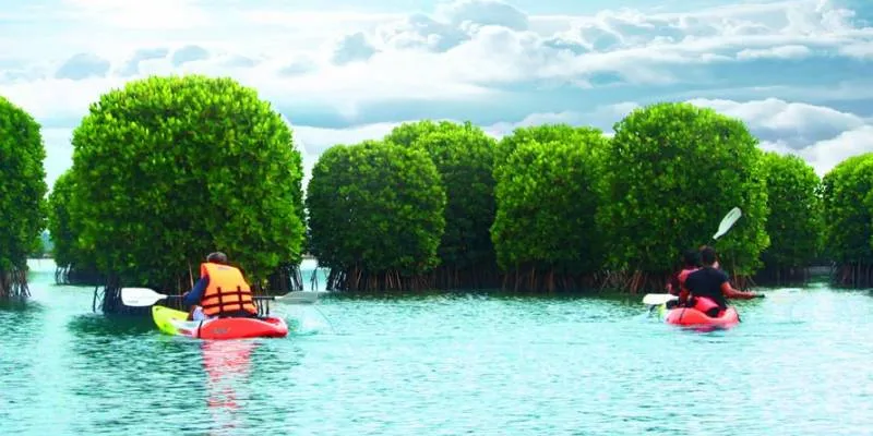 5 Day Trip From Bangalore - Coorg - Nagarhole - Kannur