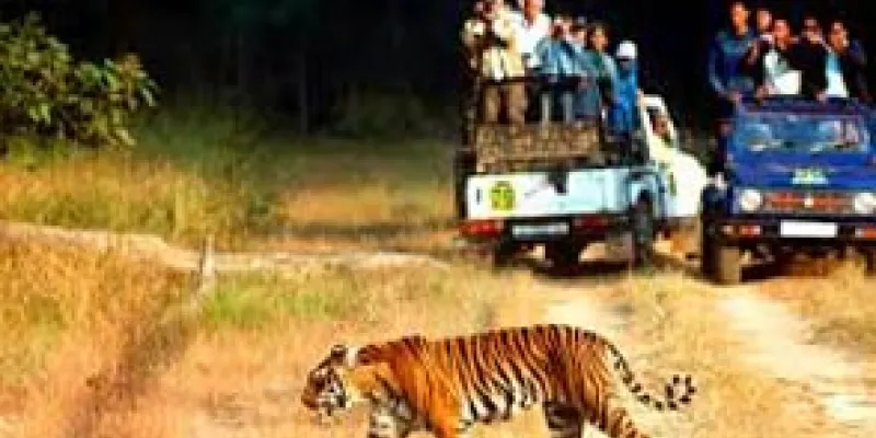 Delhi Jim Corbett Taxi/Cab Tour : 2 Days /1 Night Trip