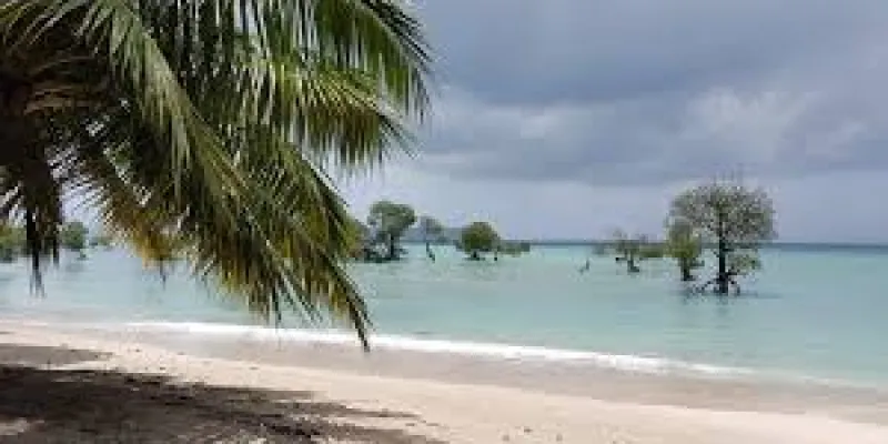 Explore Andaman 8 Days Tour