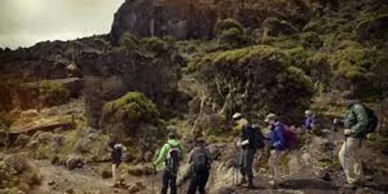 Mount Kilimanjaro Climb – Marangu Route With Extra Day Tour