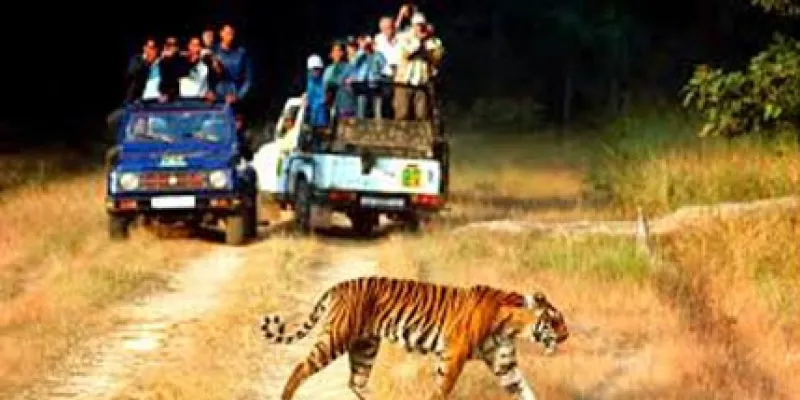 Corbett Wildlife Safari Tour