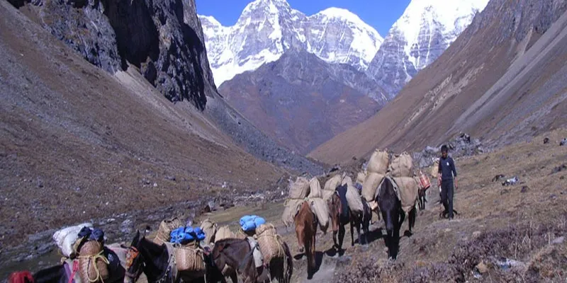 Druk Path Trek Trekking Tour