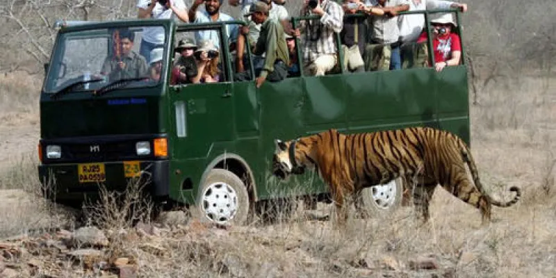 Dhikala Tiger Safari Tour
