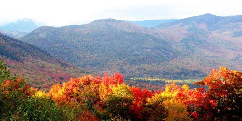 Mysore Ooty Coorg Tour