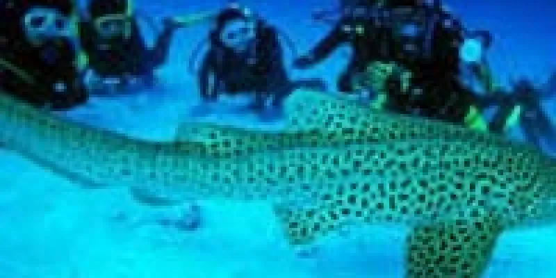 06 Night/07 Days (5N Port Blair +1N Havelock)Tour