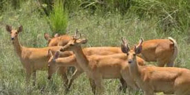 North-East 08Night - 09Days Tour