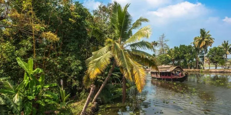 Wayanad Honeymoon Packages