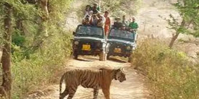 Short Escape To Ranthambore Package
