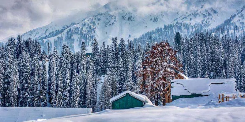 CHARMING SHIMLA TOUR