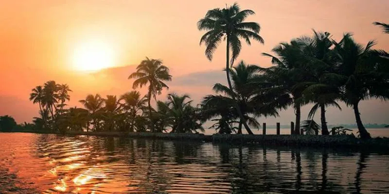 Quick Tour Of Kerala In 4 Days - Munnar - Alleppey