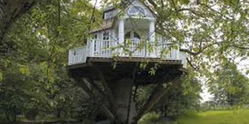 Best Of Kerala With Treehouse Stay Tour