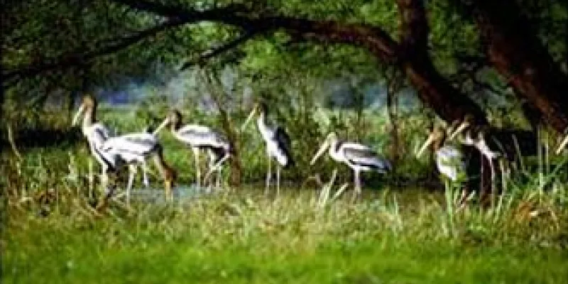 Golden Triangle With Jungle Safari Tour