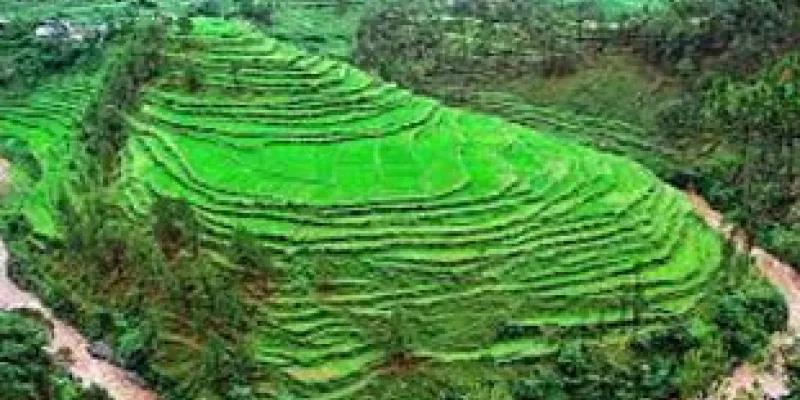 Delhi - Nainital - Corbett - Rishikesh - Mussoorie - Delhi 06 Night / 07 Days