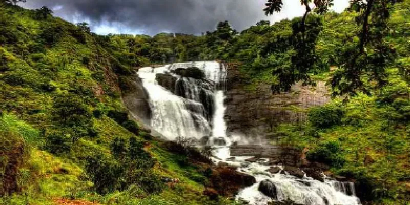 Charming Coorg & Waynad Tour Package