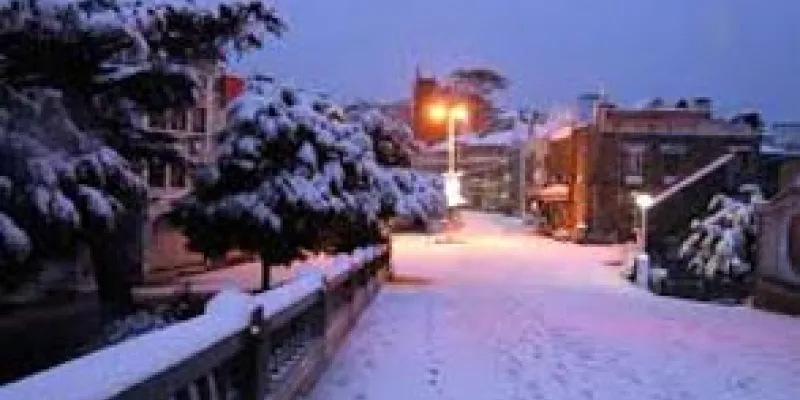 Magnificent Shimla Manali Tour