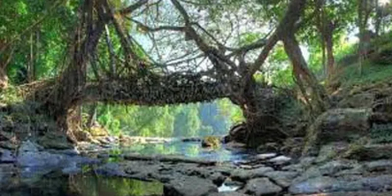 Beautiful Shillong With Guwahati Package