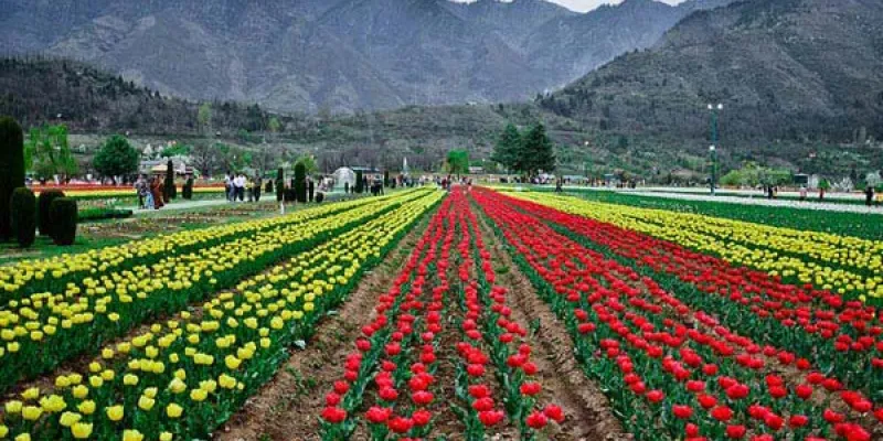 Beautiful Kashmir 2N-3D Tour