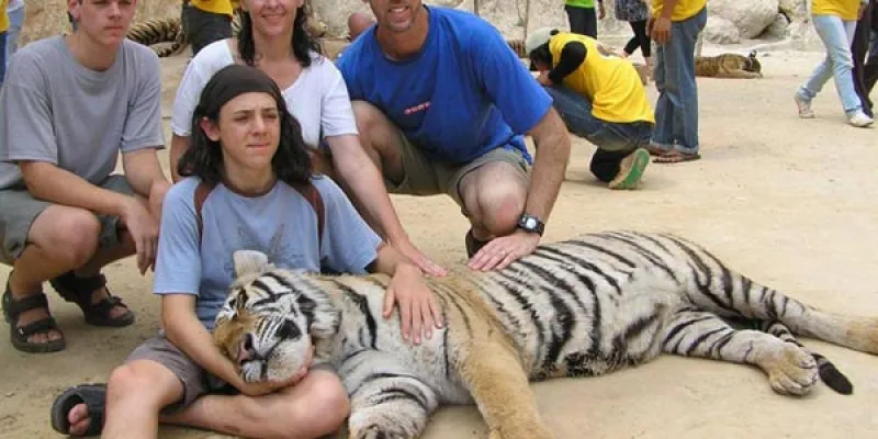 Bangkok Full Day River Kwai With Tiger Temple Tour