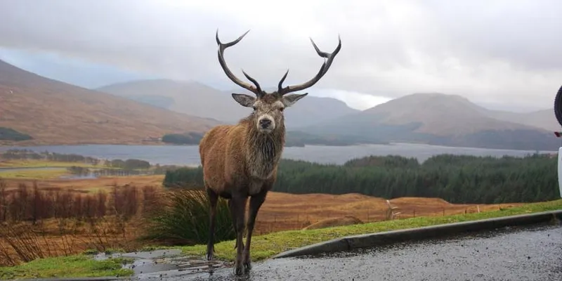 Outlander Location Tour 3 Days