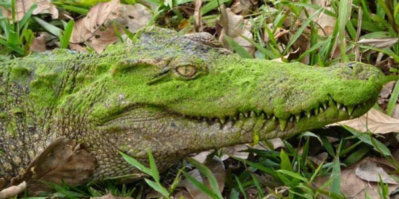 Nam Cat Tien National Park Tour