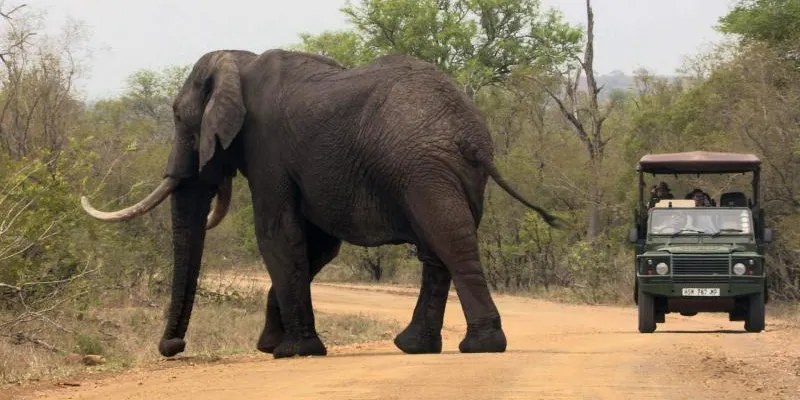 Moholoholo And Panorama Highlights Combo Day Tours Package