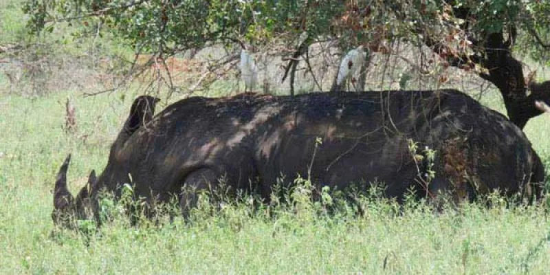 Tee Kenya Tour Package