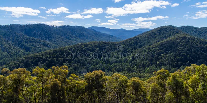 Transfers - Adelaide Hills & Surrounds Tour