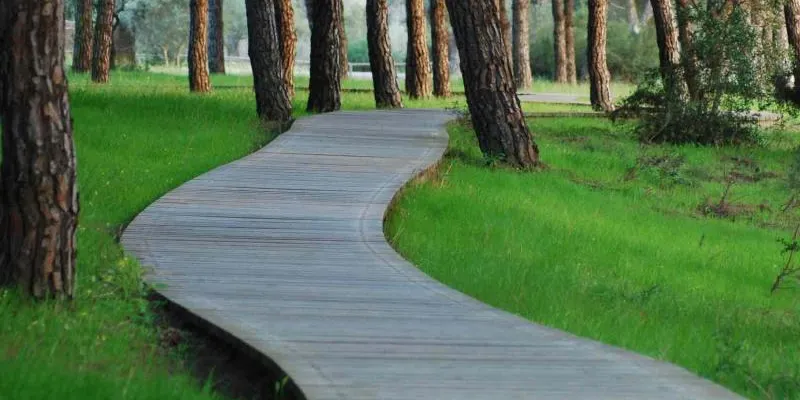 Doñana National Park & El Rocío