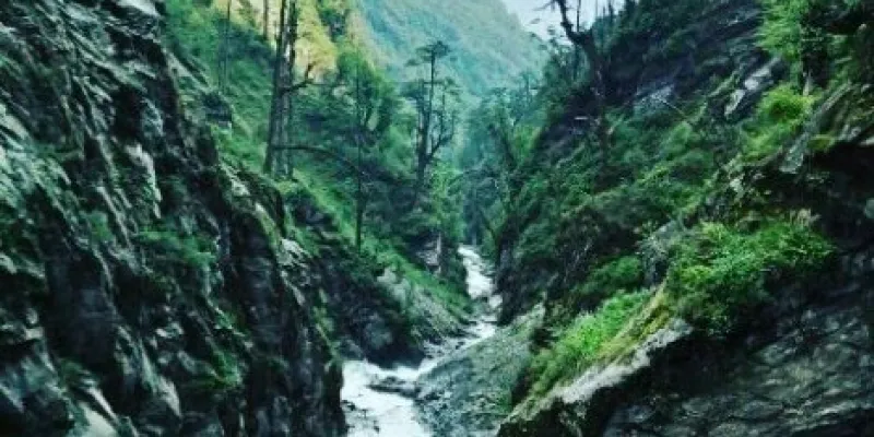 The Valley Of The Hornbills Tour