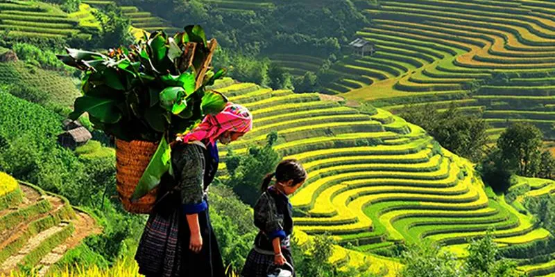 12 Days Discover Treasure On Vietnam Tour