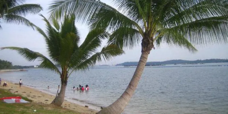 Singapore Budget Package