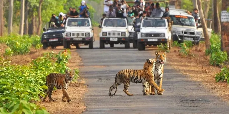 Nainital Ranikhet Corbett Tour Package