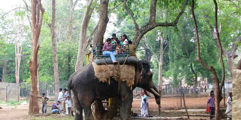 4N5D BANGALORE-MYSORE-OOTY-KODAIKANAL-BANGALORE SOUTH INDIA TOUR PROGRAM