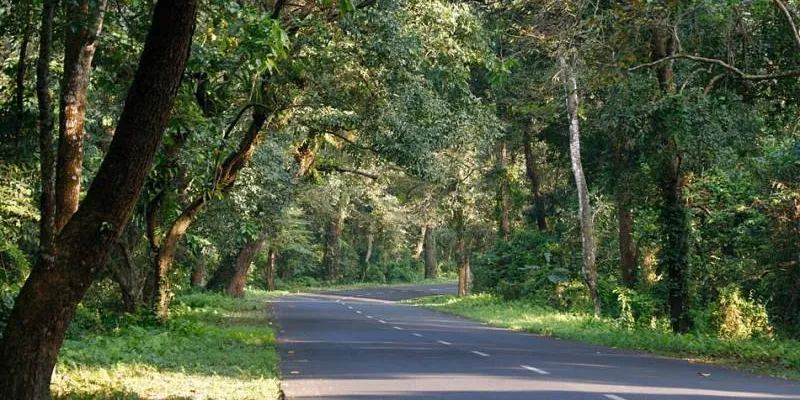 Lataguri with Alipurduar Tour (different Dooars)