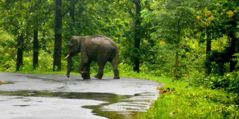 Hilly Wayanad package