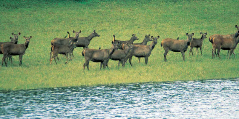 Kerala Tour - DP5B(CMPAC)