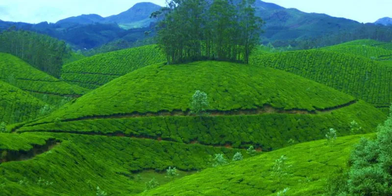 Kerala Tour - DP5H(CMAC)