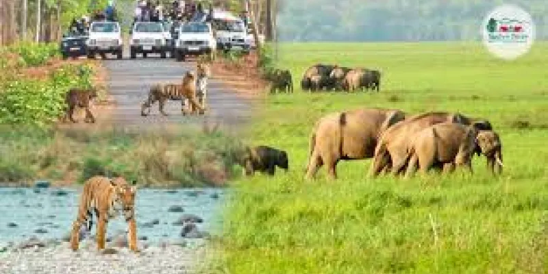 Uttaranchal Couple Trip