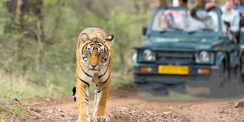 Mussorie Corbett Nainital - Uttarakhand Tour