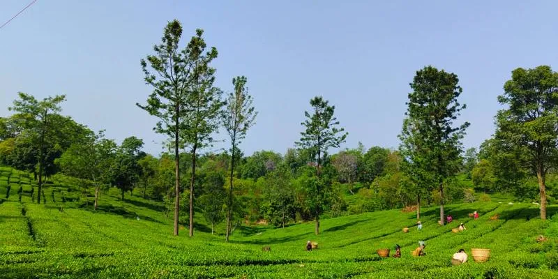 Shimla - Kullu - Manali - Dharamshala - Mcleodganj - Dalhousie Tour