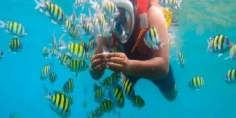 5 Nights 6 Days Port Blair - Havelock - Neil Island Tour