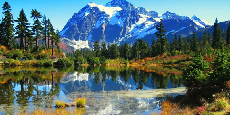 SHIMLA MANALI TOUR BY CAB