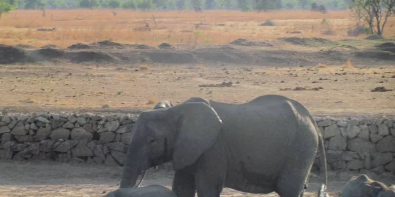 Mikumi National Park - Day Trip From Dar Es Salaam