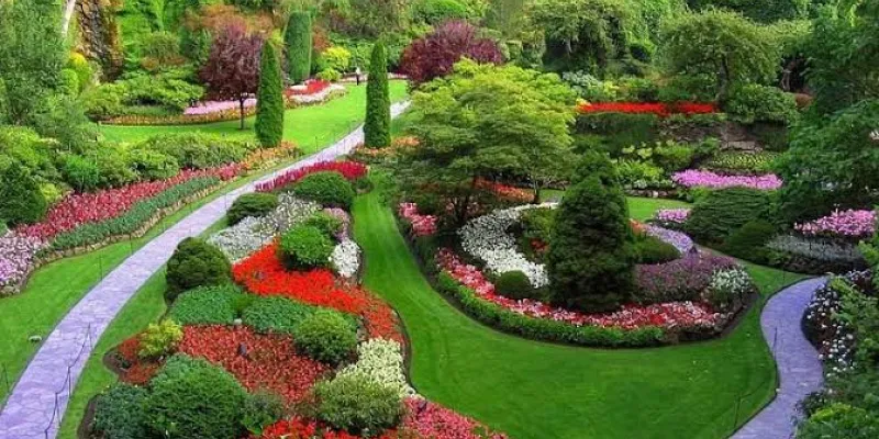 2 Days 1 Night Coimbatore to Ooty Package