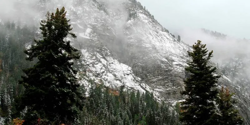 Simply Darjeeling-Monsoon Special