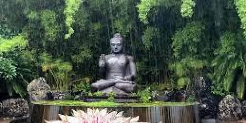 0 Night & 1 Day Palakkad Tour