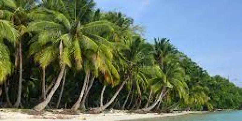 Andaman 7 Nights Port Blair - Havelock Tour