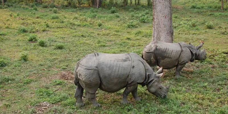 10 Nights 11 Days All Nepal Tour